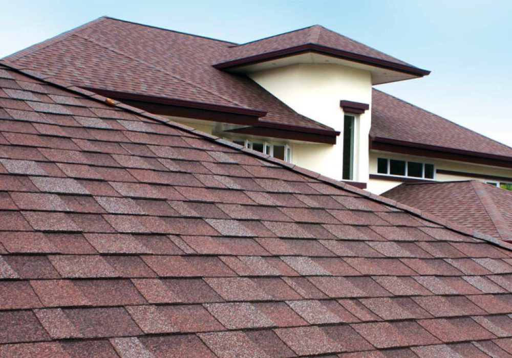 Shingle roof